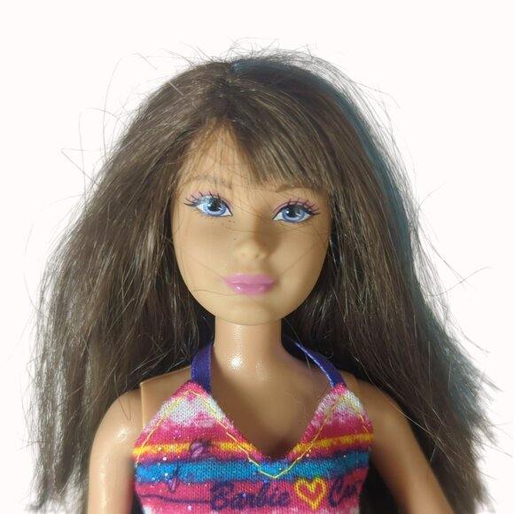Barbie Life In The Dreamhouse Sisters Camping Doll Skipper Redressed Blue Streak - Picture 3 of 6